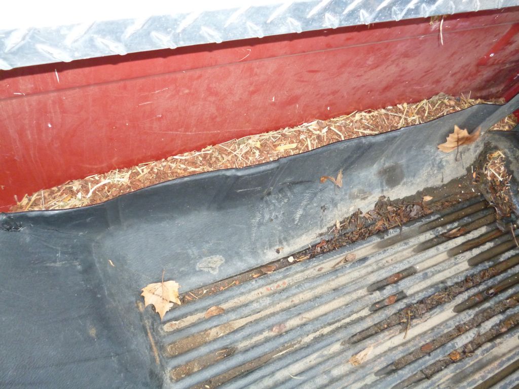 Plastic bed liners are a bad idea! Ford Truck Enthusiasts Forums